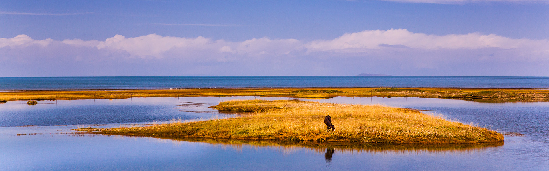 自强不息 独树一帜
